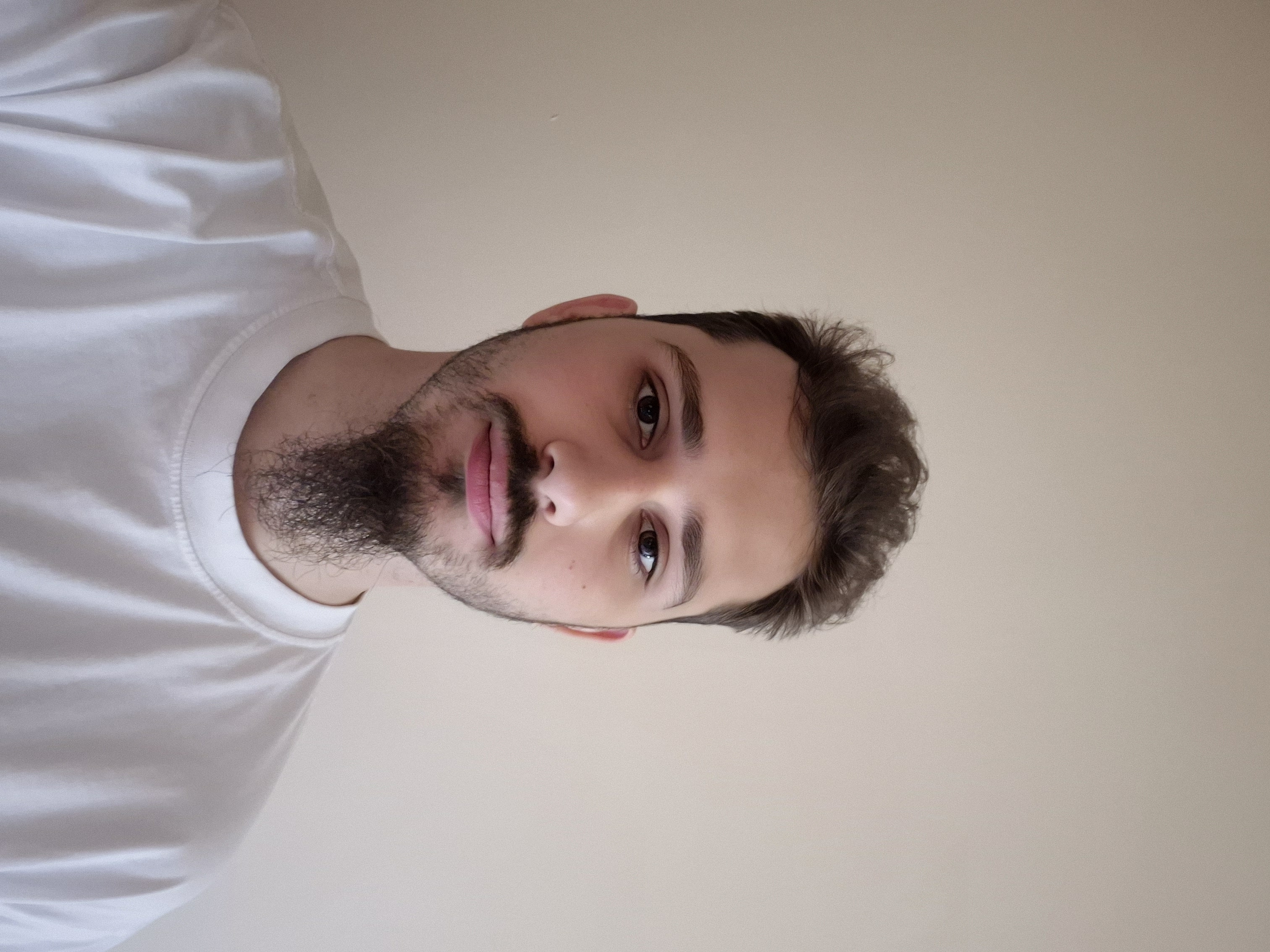 Lovro Majtan (Software Developer)